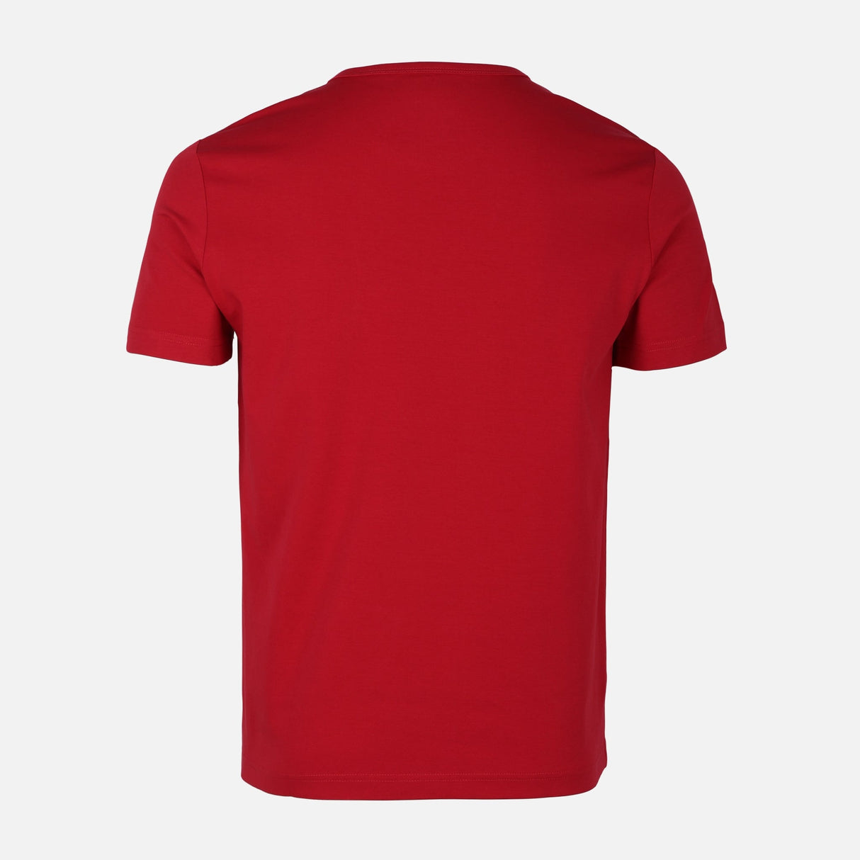 MEN T-SHIRT ROUND NECK REGULAR FIT