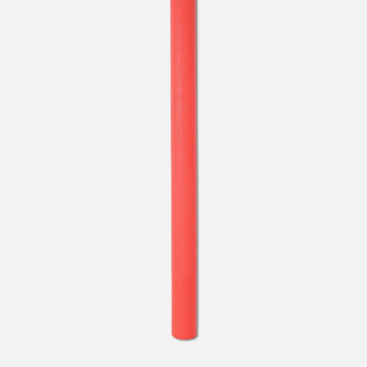 Swim Noodle With Net