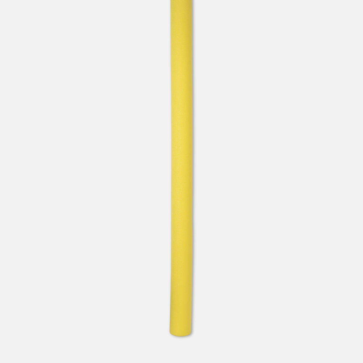 Swim Noodle With Net