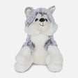 SQUATTING HUSKY (22CM)