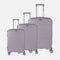 Variant image for PURPLE_consolidation