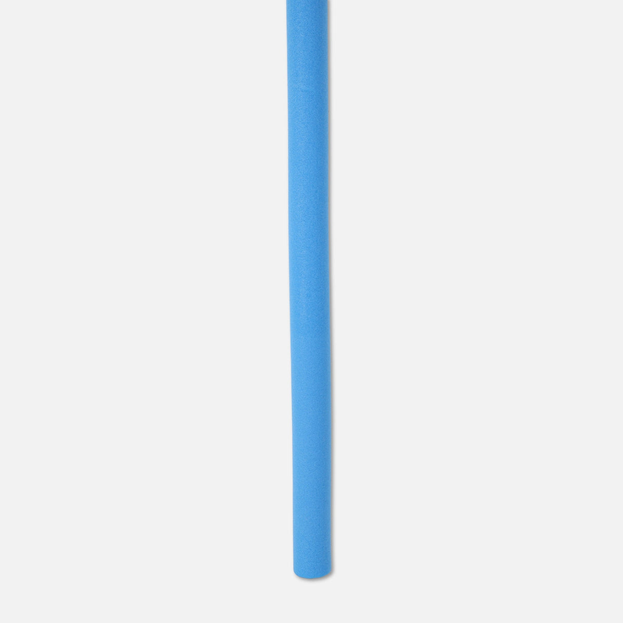 Swim Noodle With Net