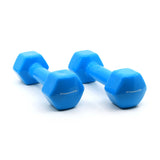 Dipping Pair Dumbbell