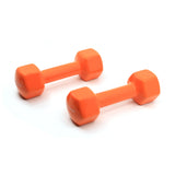 Dipping Pair Dumbbell