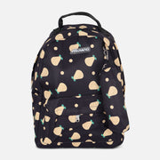 SCHOOL BACKPACK WITH PENCIL CASE (42*29*12)