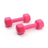 Dipping Pair Dumbbell